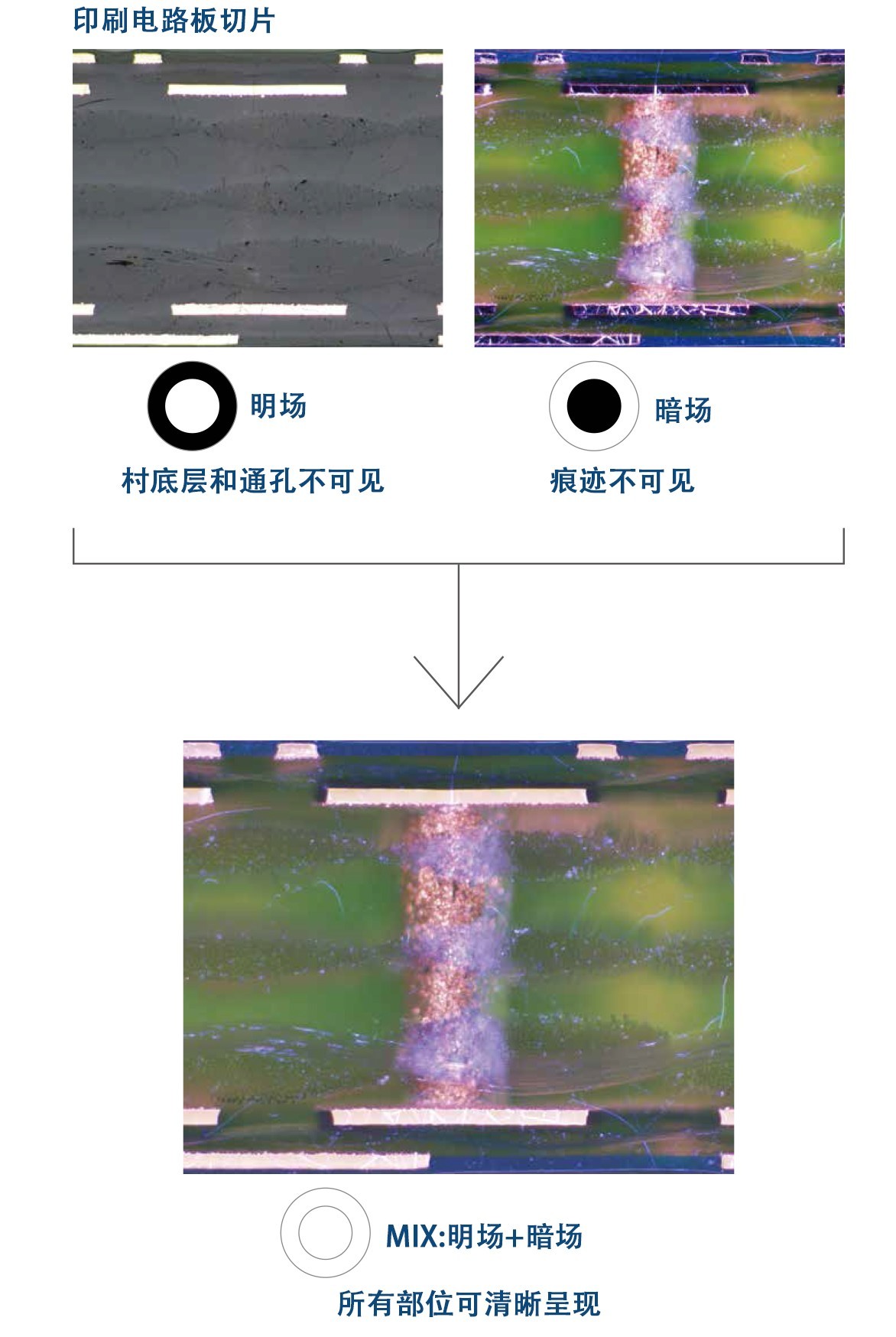 奧林巴斯顯微鏡|奧林巴斯生物顯微鏡|奧林巴斯金相顯微鏡|奧林巴斯倒置顯微鏡|OLYMPUS顯微鏡|上海普赫光電科技有限公司
