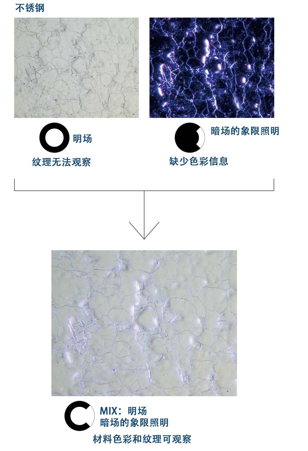 奧林巴斯顯微鏡|奧林巴斯生物顯微鏡|奧林巴斯金相顯微鏡|奧林巴斯倒置顯微鏡|OLYMPUS顯微鏡|上海普赫光電科技有限公司